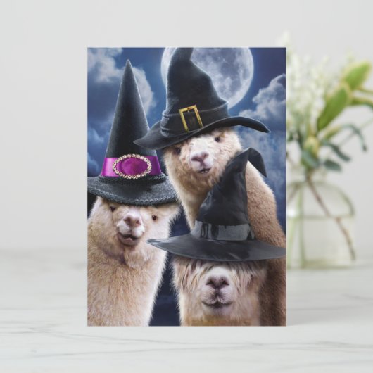 Alpaca-Hexen Einladung (Stehend Vorderseite)