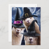 Alpaca Hexen Einladungspostkarte (Vorne/Hinten)