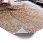 Alpaca Hexen Poster (Ecke)