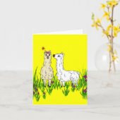 Alpaca im Bereich der Blume Karte (Gelbe Blume)