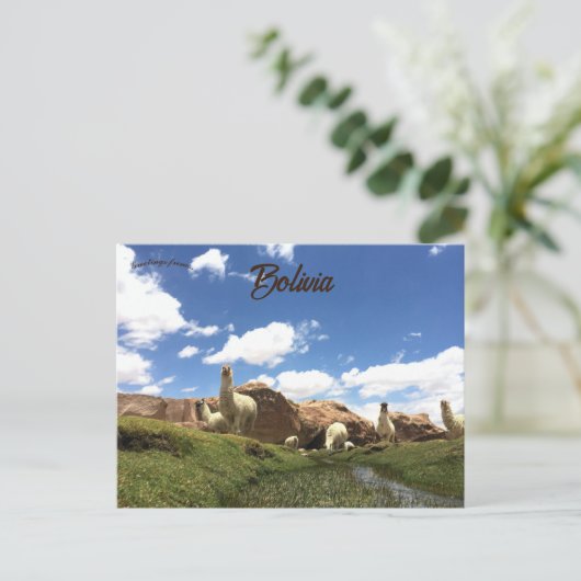 Alpaca in Bolivien Postkarte (Stehend Vorderseite)