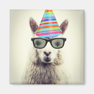 Alpaca in Brille und Party Hat Magnet