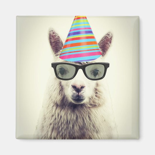 Alpaca in Brille und Party Hat Magnet (Vorne)