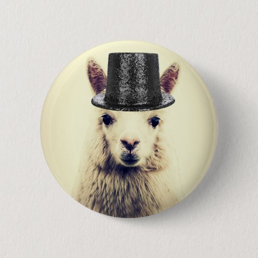 Alpaca in einem Tophat Button (Vorderseite)