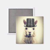 Alpaca in einem Tophat Magnet (Vorderseite/Rückseite)