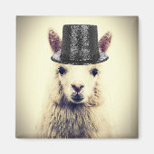 Alpaca in einem Tophat Magnet (Vorne)