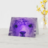 Alpaca in einer anderen Farbe Karte (Gelbe Blume)