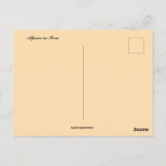 Alpaca in Peru Postkarte (Rückseite)