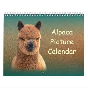 Alpaca-Kalender 2020 Kalender