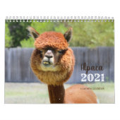 Alpaca-Kalender 2021 Kalender (Titelbild)