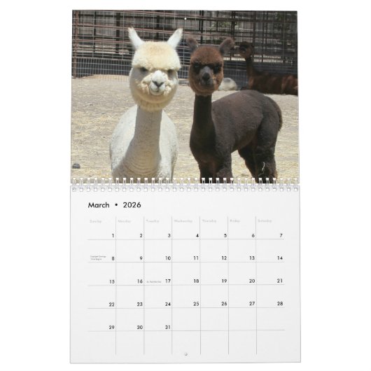 Alpaca-Kalender 2022 Kalender (Mär 2026)