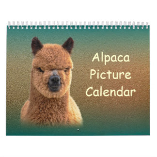 Alpaca-Kalender 2023 Kalender