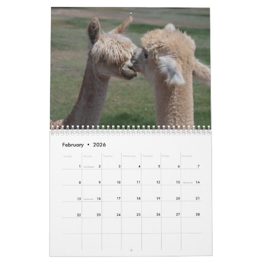 Alpaca-Kalender 2024 Kalender (Feb 2026)