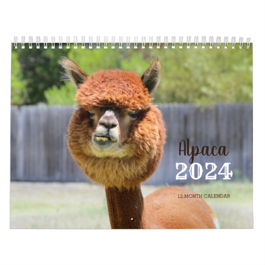 Alpaca-Kalender 2024 Kalender (Titelbild)