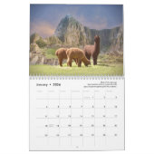 Alpaca-Kalender 2025 Kalender (Jan 2026)