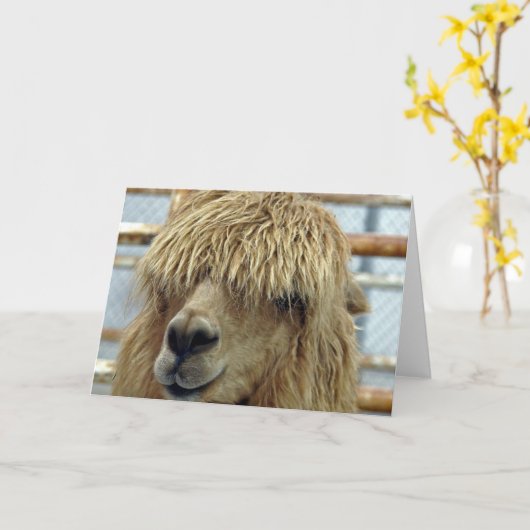 Alpaca Karte (Gelbe Blume)