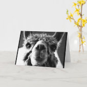 Alpaca Karte (Gelbe Blume)