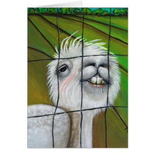 Alpaca - Kleiner Traum mit Geschichtenkarte