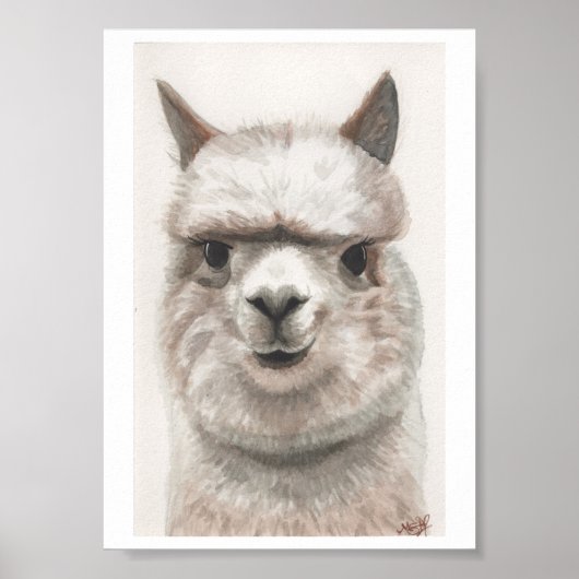 Alpaca Lächeln Kunstdrucke bereit für die Framing  Poster (Vorne)
