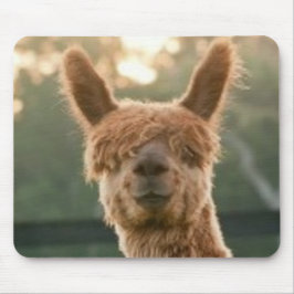 Alpaca Lächelnde Mauspad
