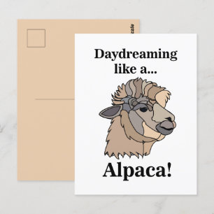Alpaca Lama Lustiges Tier Postkarte
