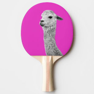 Alpaca Landtierfotografie Schwarz-Weiß Tischtennis Schläger
