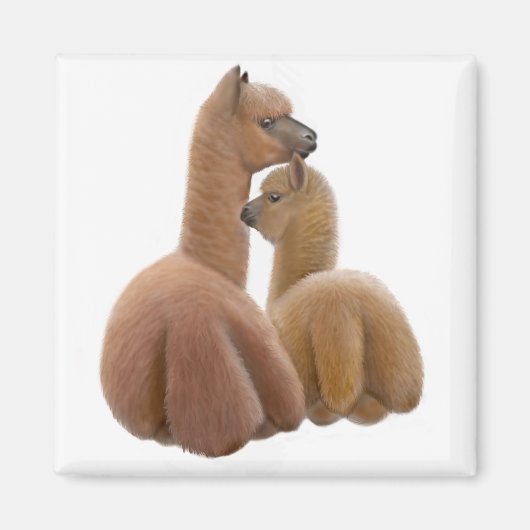 Alpaca Liebe Magnet (Vorne)