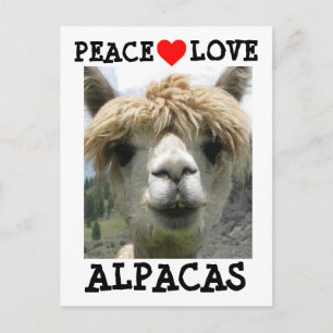 ALPACA LIEBE POSTCARDS POSTCARD POSTKARTE