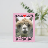 ALPACA LIEBE POSTCARDS POSTKARTE (Stehend Vorderseite)