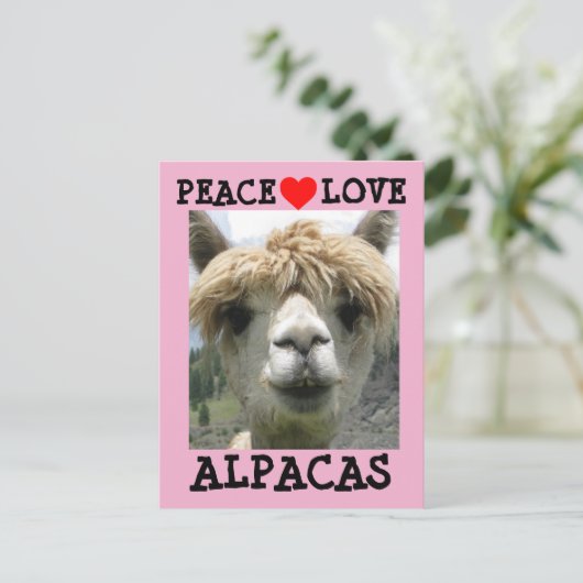 ALPACA LIEBE POSTCARDS POSTKARTE (Stehend Vorderseite)