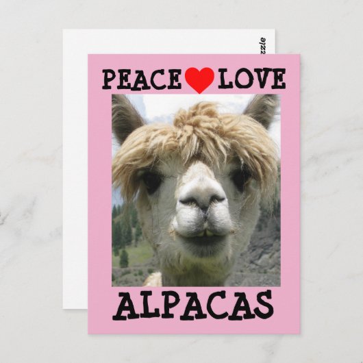 ALPACA LIEBE POSTCARDS POSTKARTE (Vorne/Hinten)