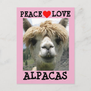 ALPACA LIEBE POSTCARDS POSTKARTE