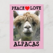 ALPACA LIEBE POSTCARDS POSTKARTE (Vorderseite)