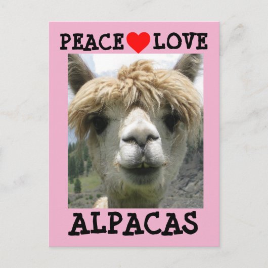 ALPACA LIEBE POSTCARDS POSTKARTE (Vorderseite)