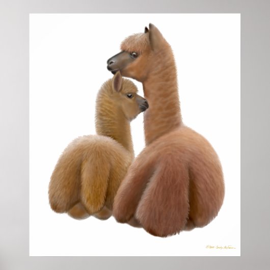 Alpaca Liebe Print Poster (Vorne)