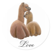 Alpaca-Liebe