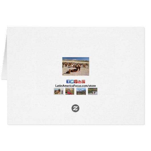 Alpaca Llama Herd Andes - Karte (Rückseite Horizontal)