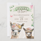 Alpaca llama Kid Birthday | Einladung der Babydusc (Vorderseite)