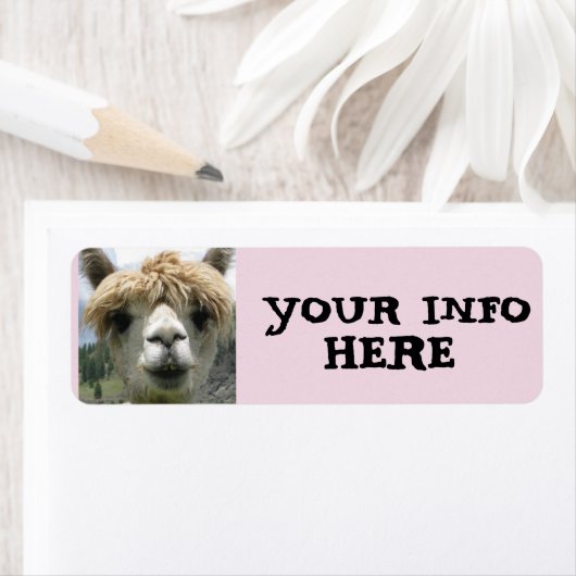 ALPACA LLAMA RÜCKSENDEADRESSEN-AUFKLEBER (Insitu)