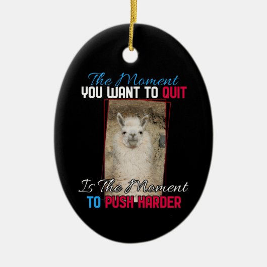 Alpaca Llama - Verstärkung der Anstrengungen Keramik Ornament (Vorne)