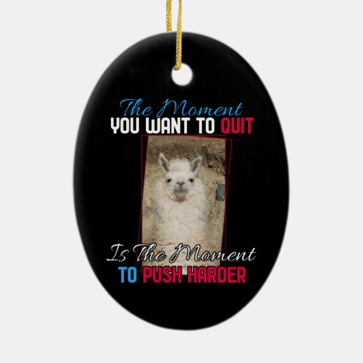 Alpaca Llama - Verstärkung der Anstrengungen Keramik Ornament (Hinten)