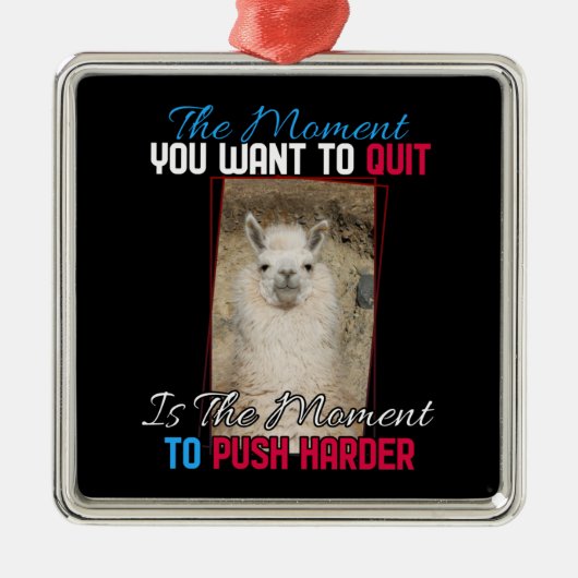 Alpaca Llama - Verstärkung der Anstrengungen Ornament Aus Metall (Vorne)