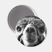 Alpaca Magnet (Vorderseite/Rückseite)