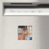 Alpaca Magnet (In Situ (Geschirrspüler))
