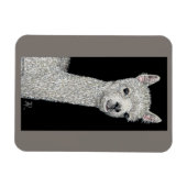 Alpaca Magnet (Horizontal)
