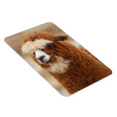 Alpaca-Magnet Magnet (Rechte Seite)