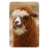 Alpaca-Magnet Magnet (Vertikal)