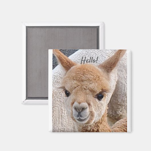 Alpaca-Magnet Magnet (Vorderseite/Rückseite)