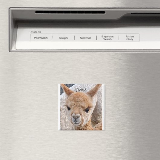 Alpaca-Magnet Magnet (In Situ (Geschirrspüler))