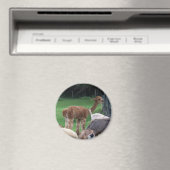 Alpaca-Magnet Magnet (In Situ (Geschirrspüler))